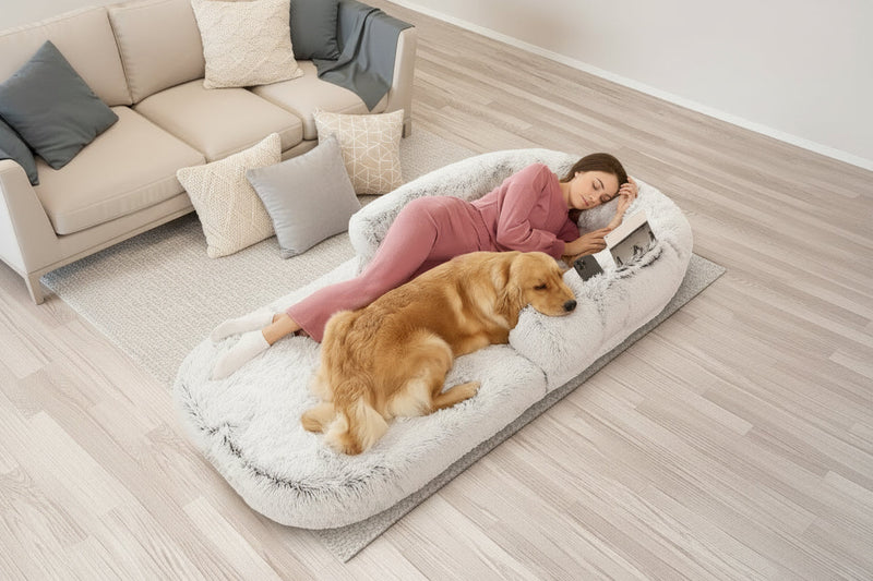 Why Proximity Matters: Building a Shared Sanctuary with Your Best Friend