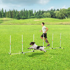 Sturdy Dog Weaves Poles Pet Speed and Agility Equipment Dogs Obstacle Outdoor w/ Storage Bag