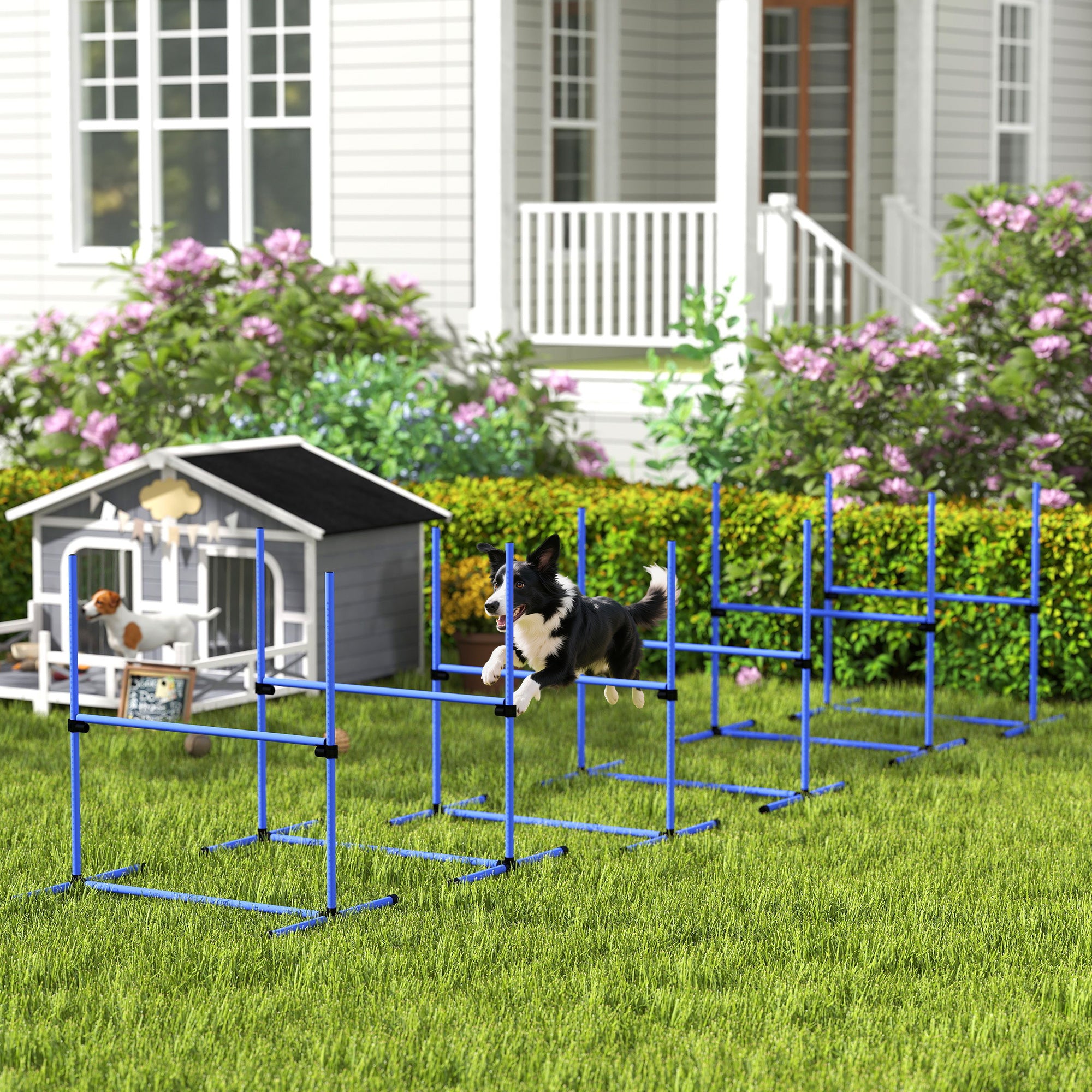 6 Piece Dog Agility Set with Adjustable Height Jump Bars