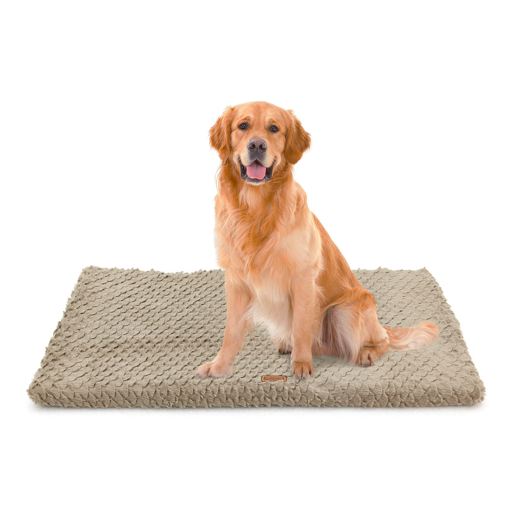 Calm Canines Plush Orthopedic Dog Bed - Washable