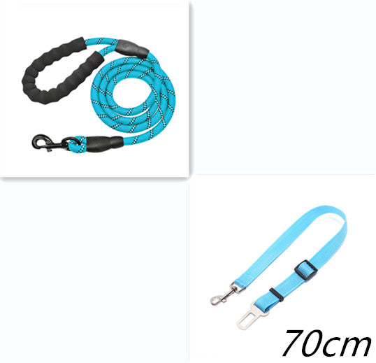 Reflective Nylon Dog Leash w/ Padded Foam Handle | Safety for Night Walks