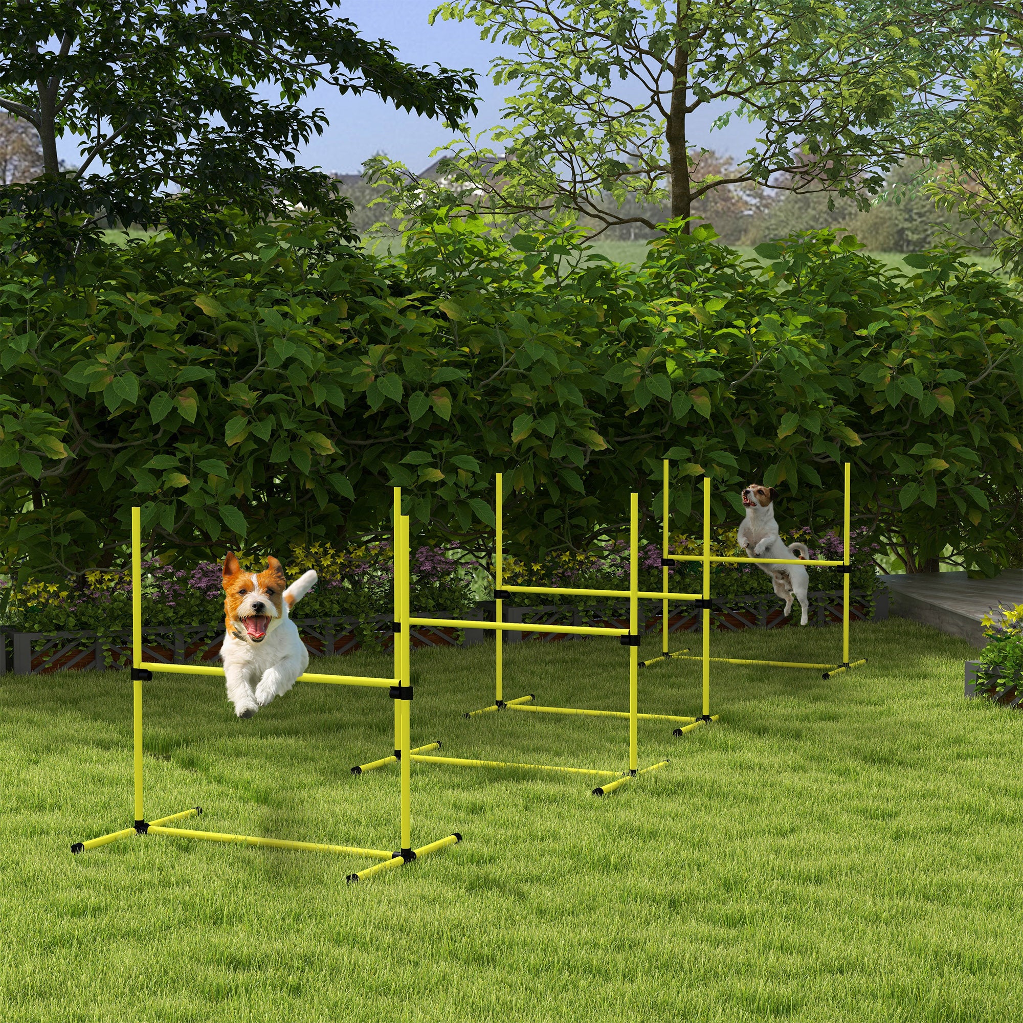 6 Piece Dog Agility Set with Adjustable Height Jump Bars