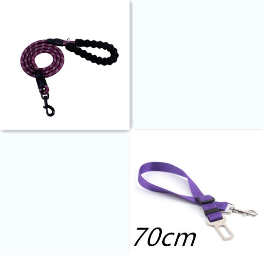 Reflective Nylon Dog Leash w/ Padded Foam Handle | Safety for Night Walks
