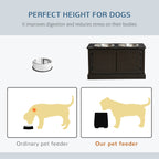 Elevated Dog Bowls with Storage