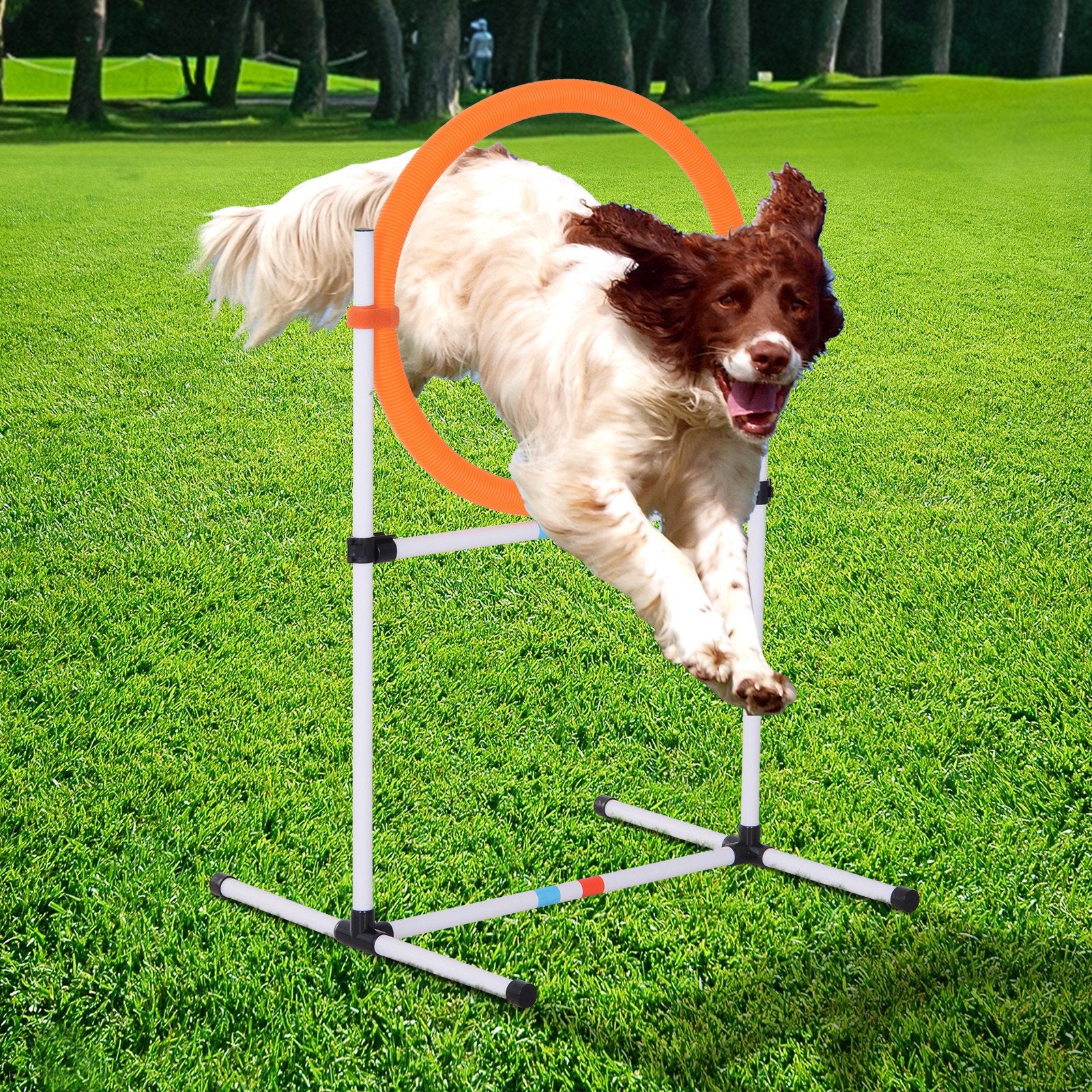 Dog Agility Training Jump Ring Hurdle Bar