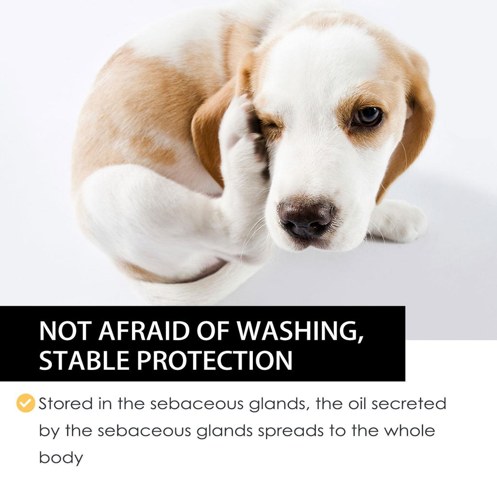 Igbang Pet External Deworming Drops For Cats And Dogs To Remove Ticks And Fleas