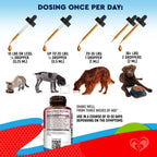 Cats And Dogs Liquid Herbal Medicine And Natural Broad Spectrum Treatment For Tapeworm Whipworm Roundworm And Hookworm Prevention Medication Supplement Drops For Kitten And Puppies