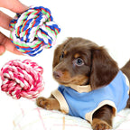 Durable Cotton Rope Dog Toy Ball - Chew & Fetch - CalmCanineShop