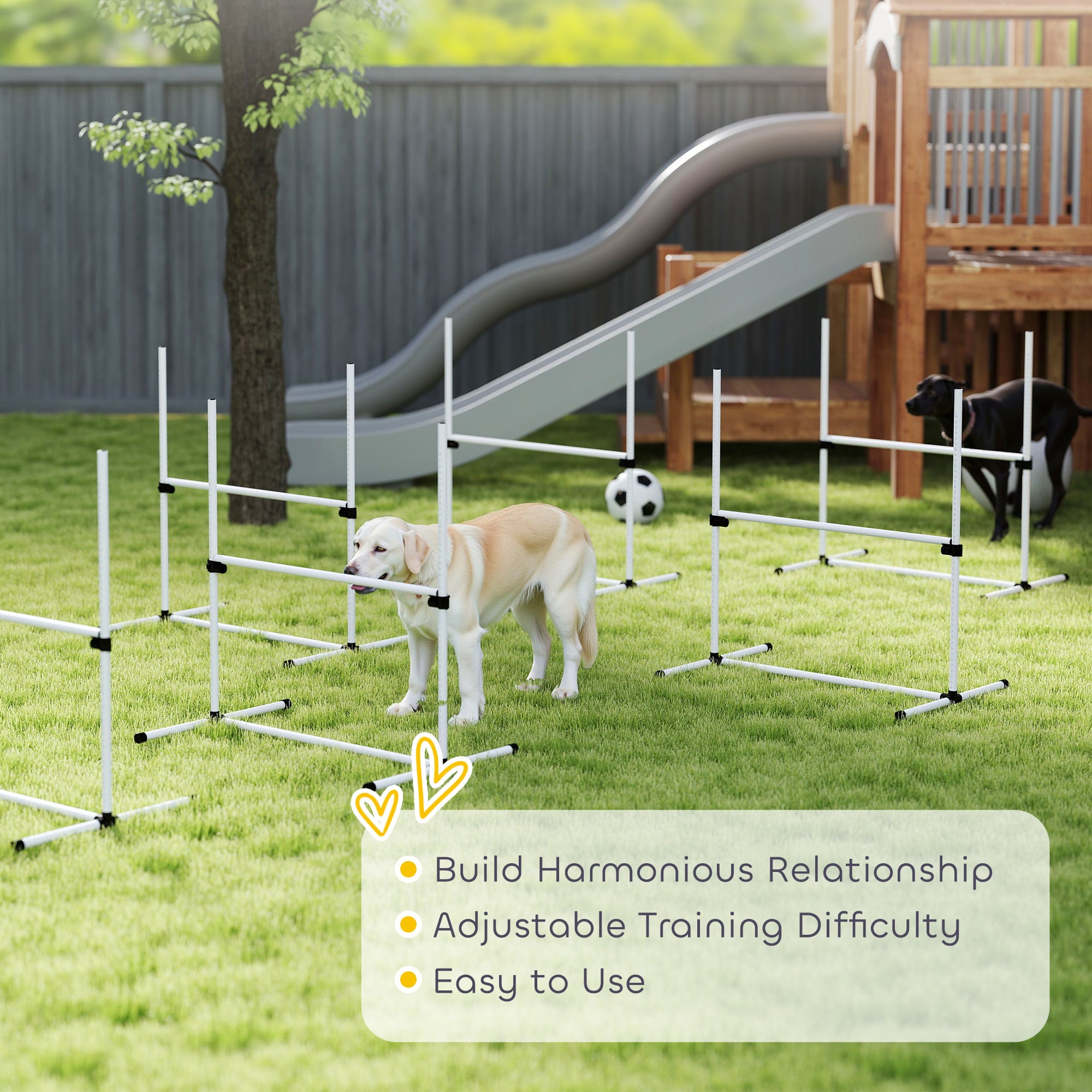 6 Piece Dog Agility Set with Adjustable Height Jump Bars