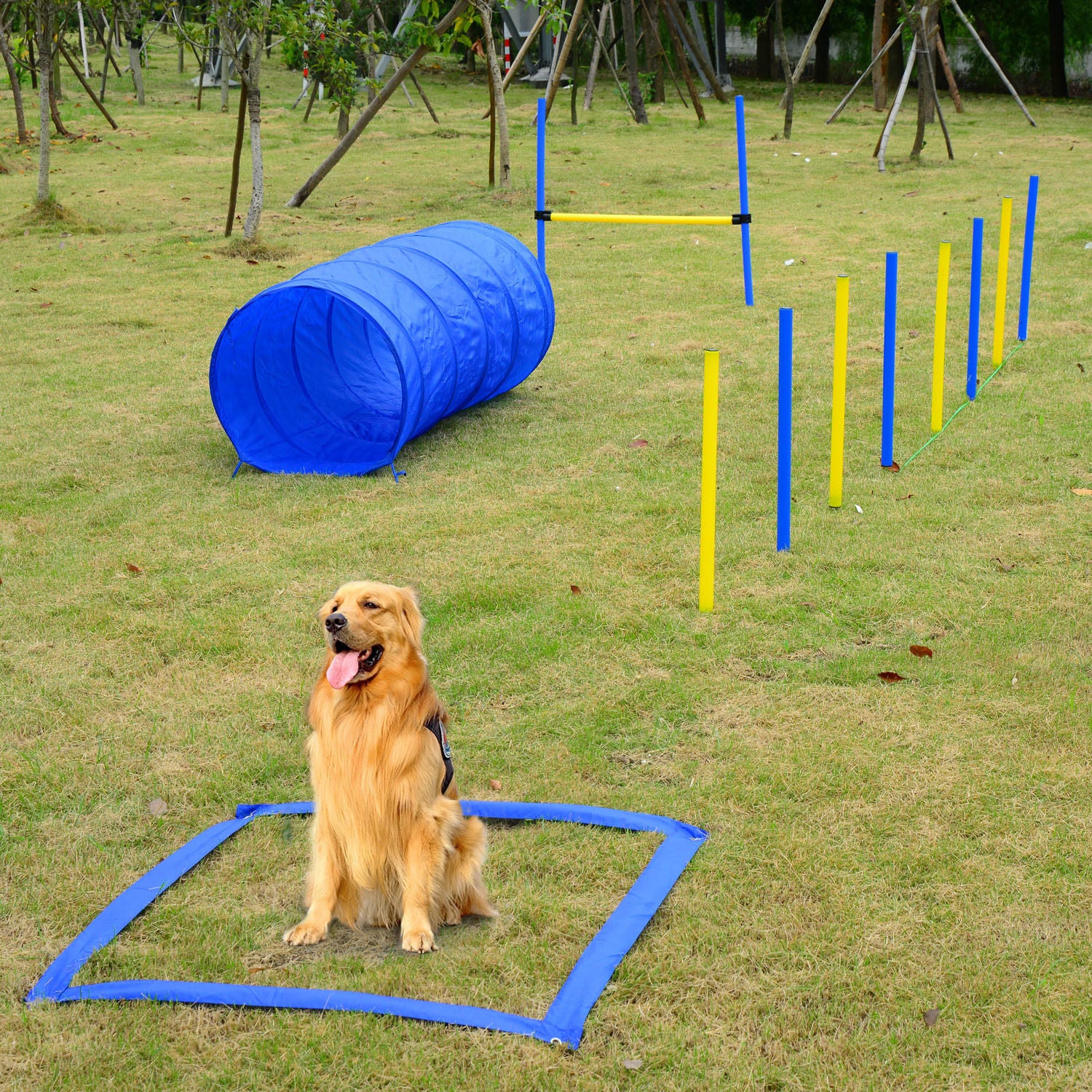 Portable Pet Agility Pet Training Set Dog Obstacle Exercise Adjustable Jump Ring High Jumper w/ Carry Bag