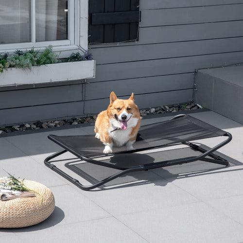 Calm Canine Elevated Dog Bed - Breathable, Foldable Comfort