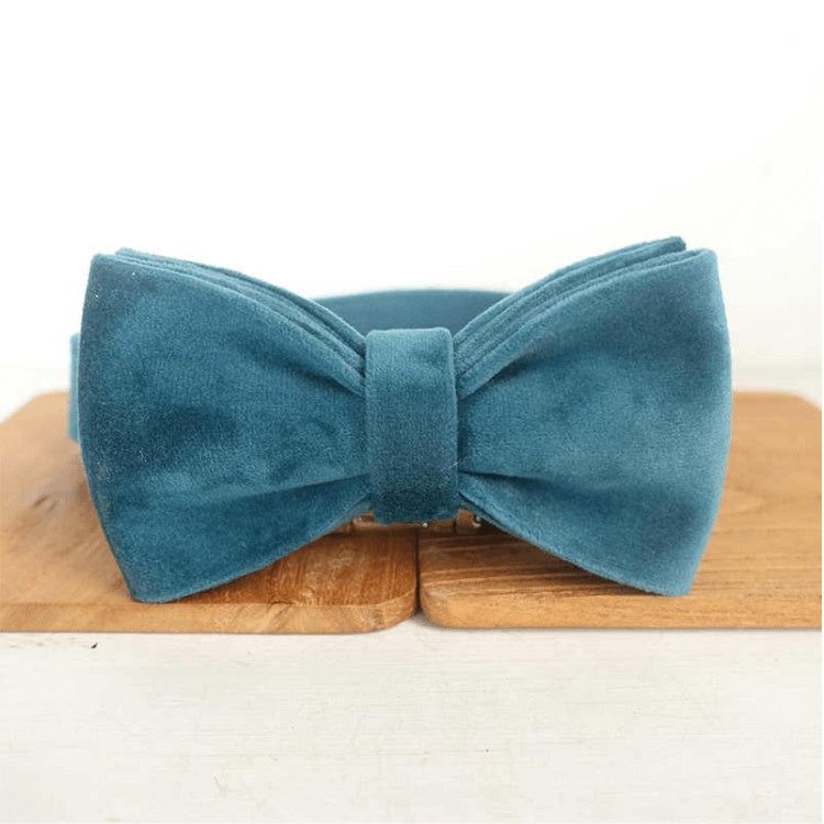 CalmCanine Retractable Dog Leash - Secure Control for Stress-Free Walks