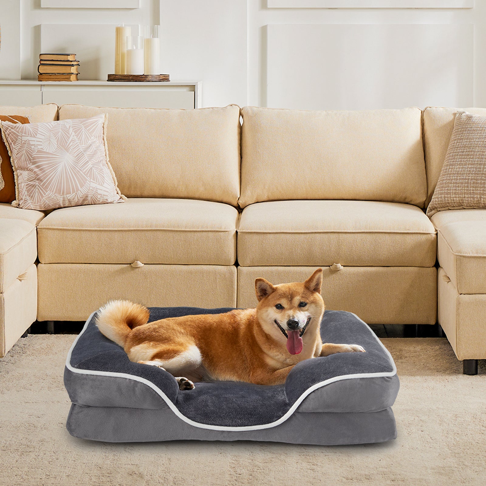 Calm Canine Solutions Orthopedic Memory Foam Dog Bed