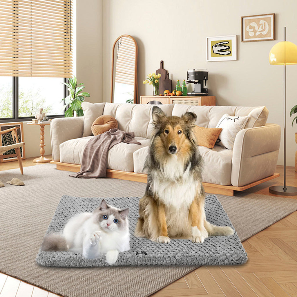 Calm Canines Plush Orthopedic Dog Bed - Washable