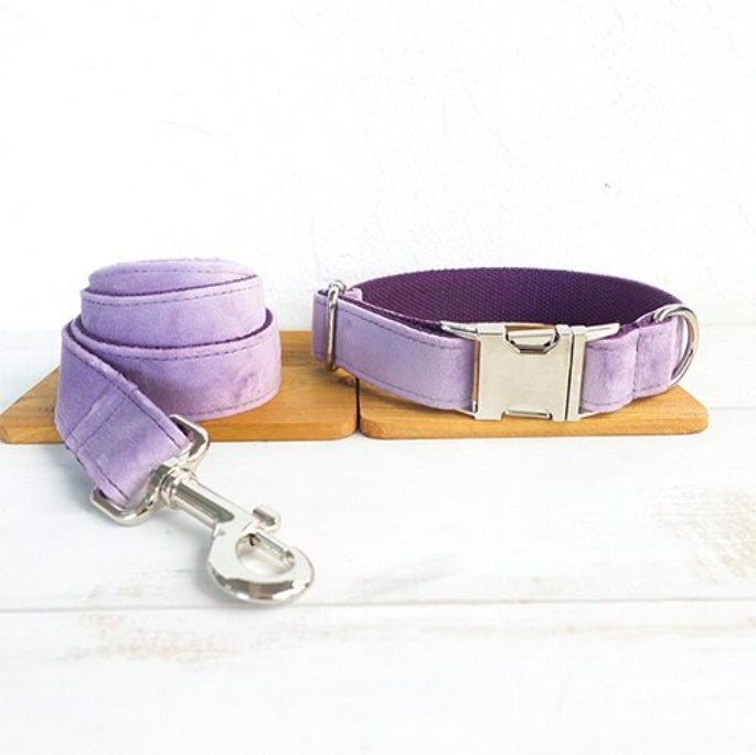 Velvet Collars & Leashes Set | Calm Canine Solutions