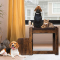 Calm Canine Solutions Orthopedic Bunk Bed & Pet Steps