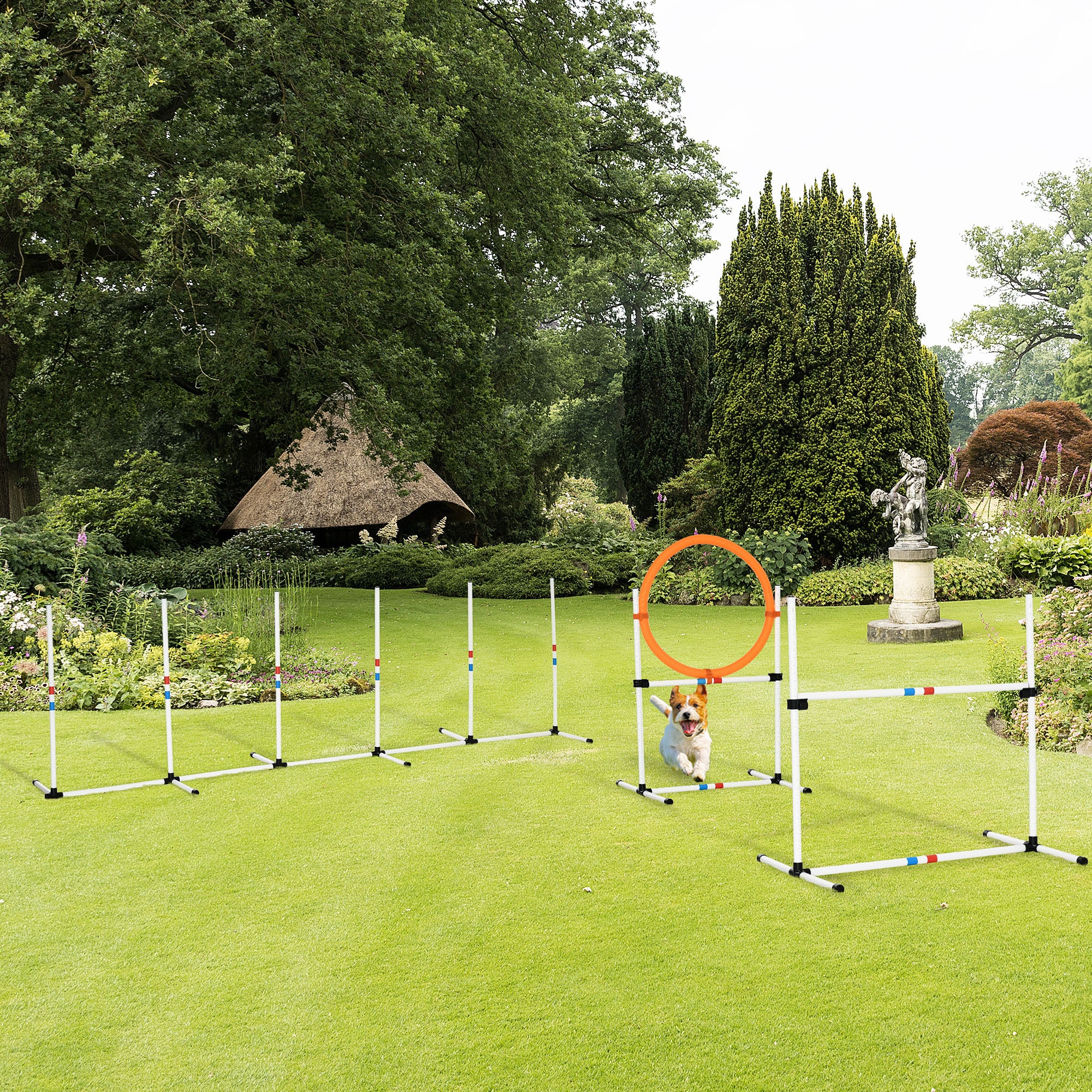 Backyard Competitive Dog Agility Training Kit Obstacle Course Equipment