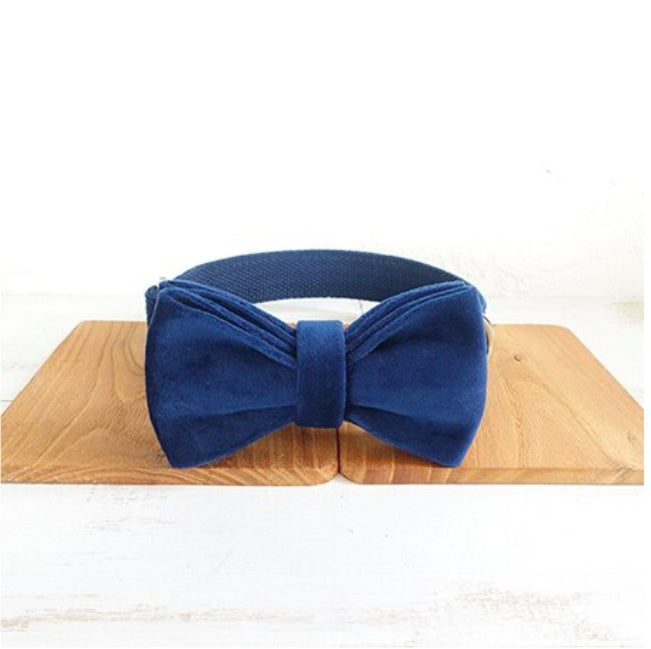 Premium Midnight Blue Velvet Bow Dog Collar for Pets